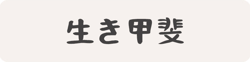 IKIGAI