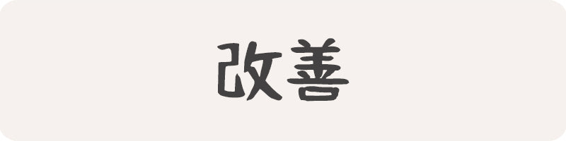KAIZEN